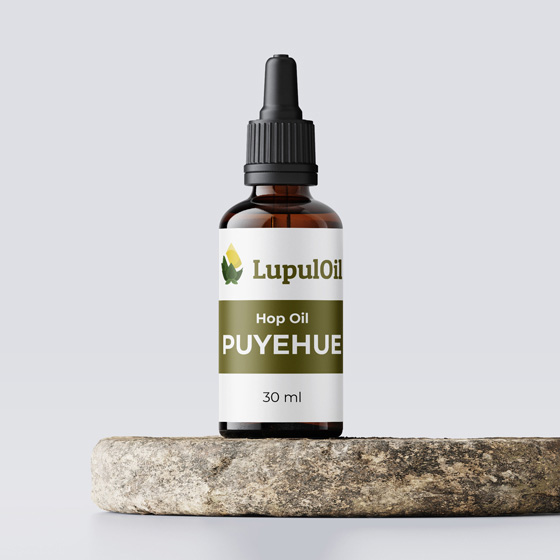 Humulus lupulus, ecotipo Puyehue Hop Oil, familia Cannabaceae.